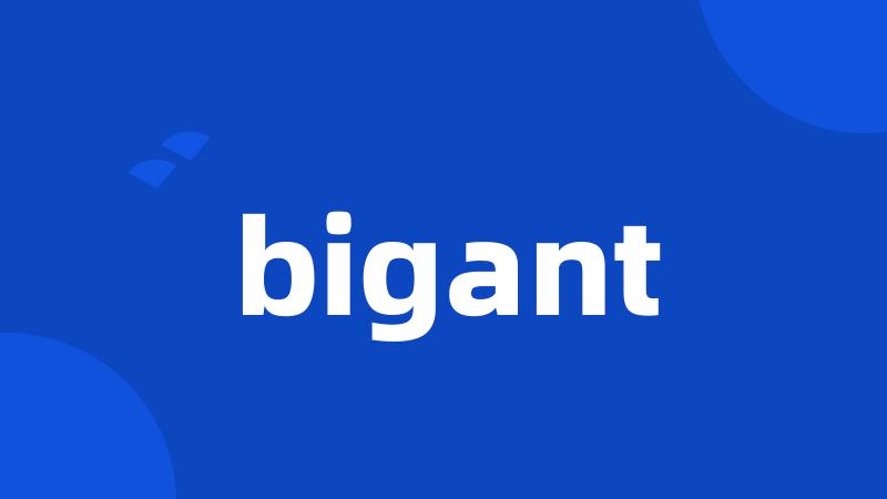 bigant