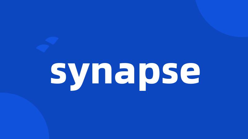 synapse