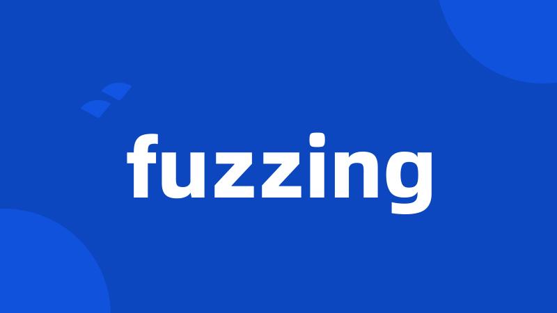 fuzzing