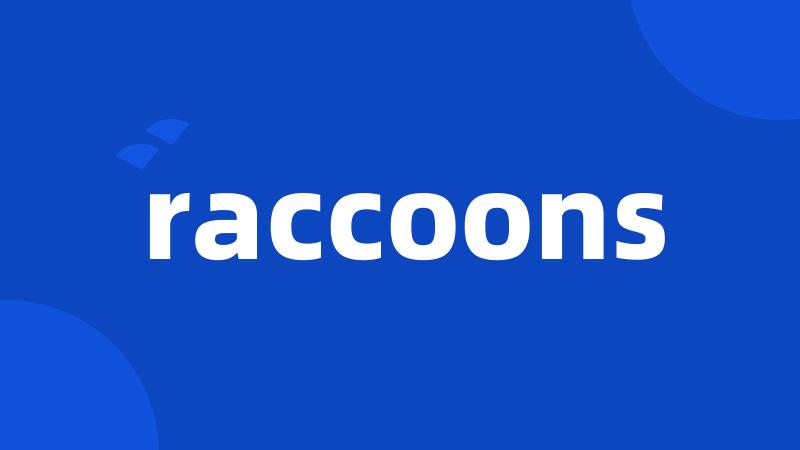 raccoons