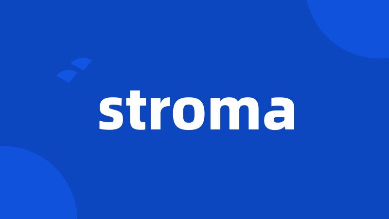 stroma