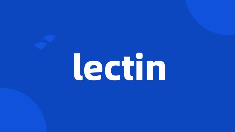 lectin