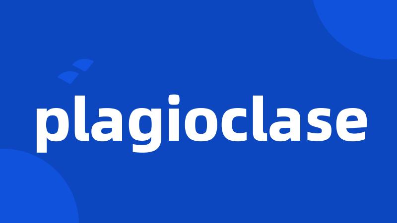 plagioclase