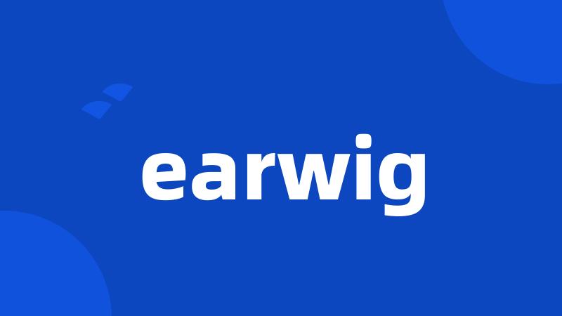earwig