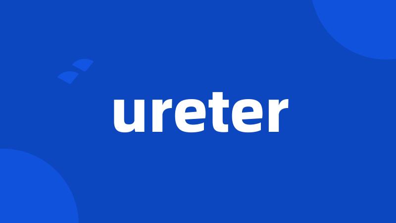 ureter