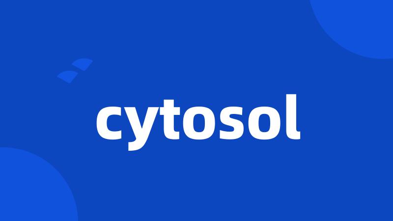 cytosol