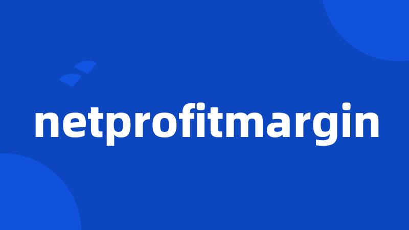 netprofitmargin