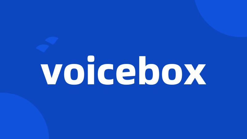 voicebox