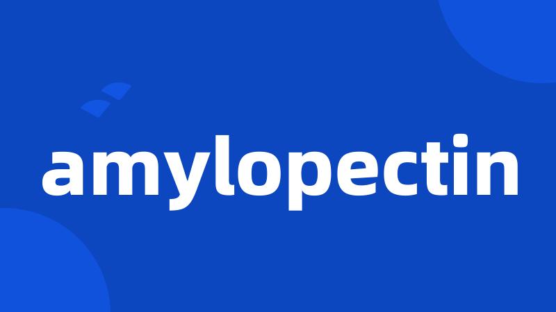 amylopectin