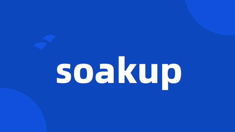 soakup