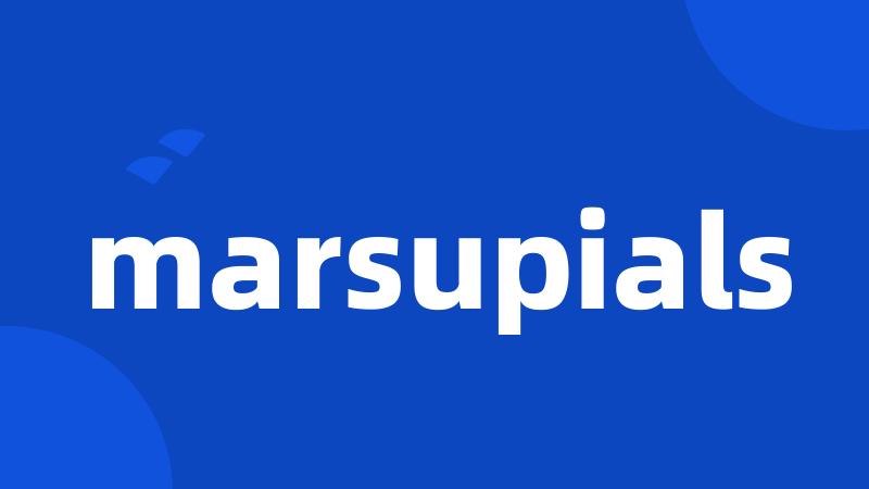 marsupials