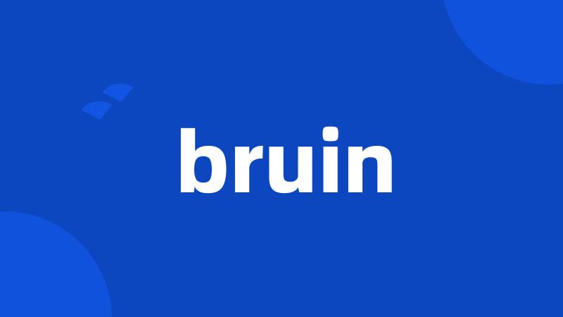 bruin