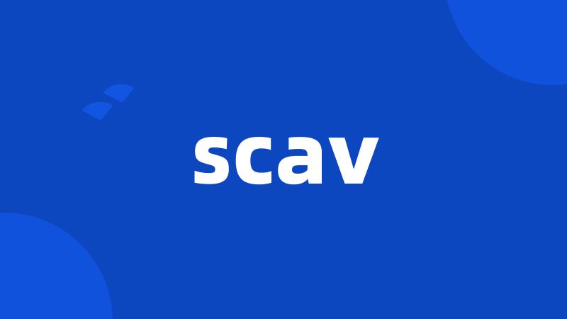 scav