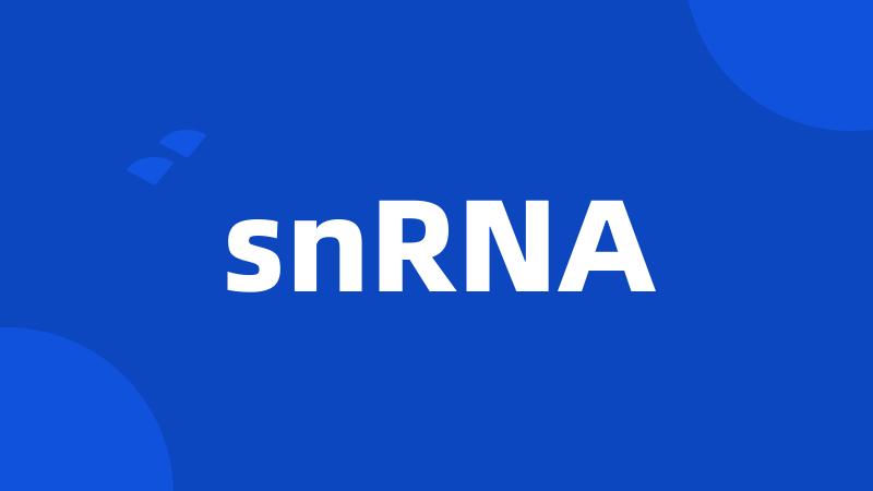 snRNA