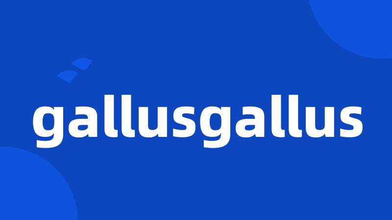 gallusgallus