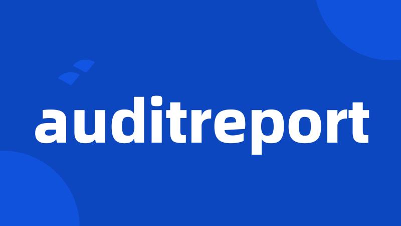 auditreport