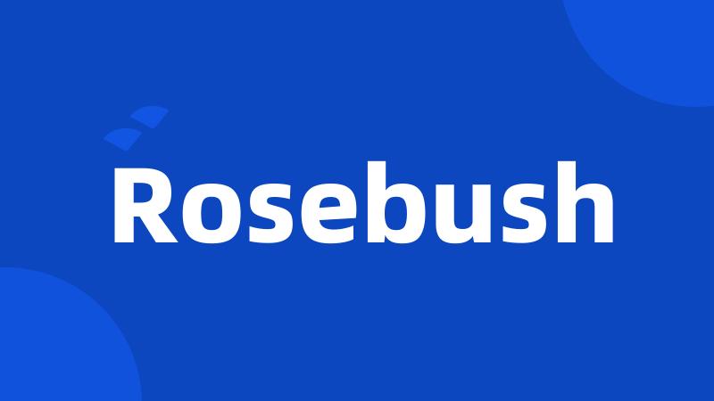 Rosebush