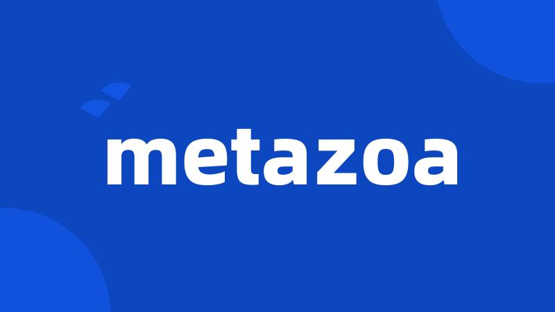 metazoa