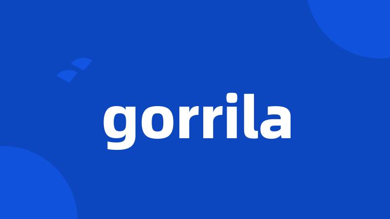 gorrila