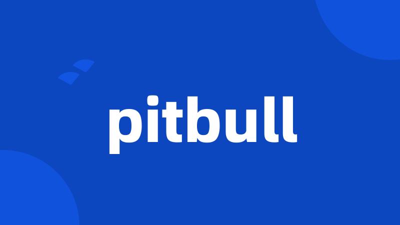 pitbull