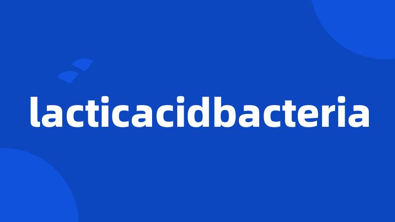 lacticacidbacteria