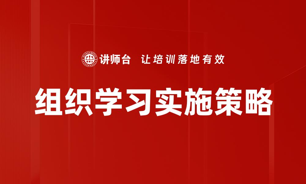 组织学习实施策略