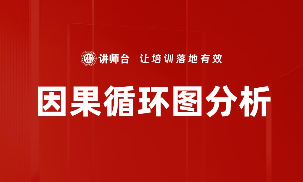 因果循环图分析