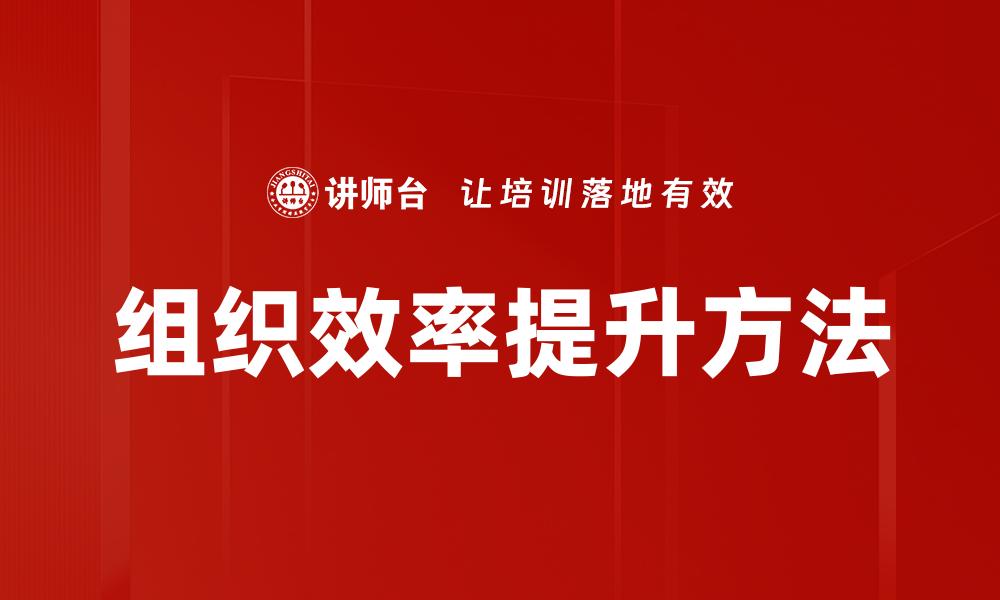 文章组织效率提升的关键策略与实用技巧的缩略图