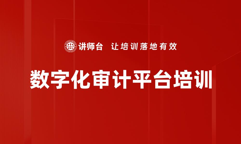 数字化审计平台培训