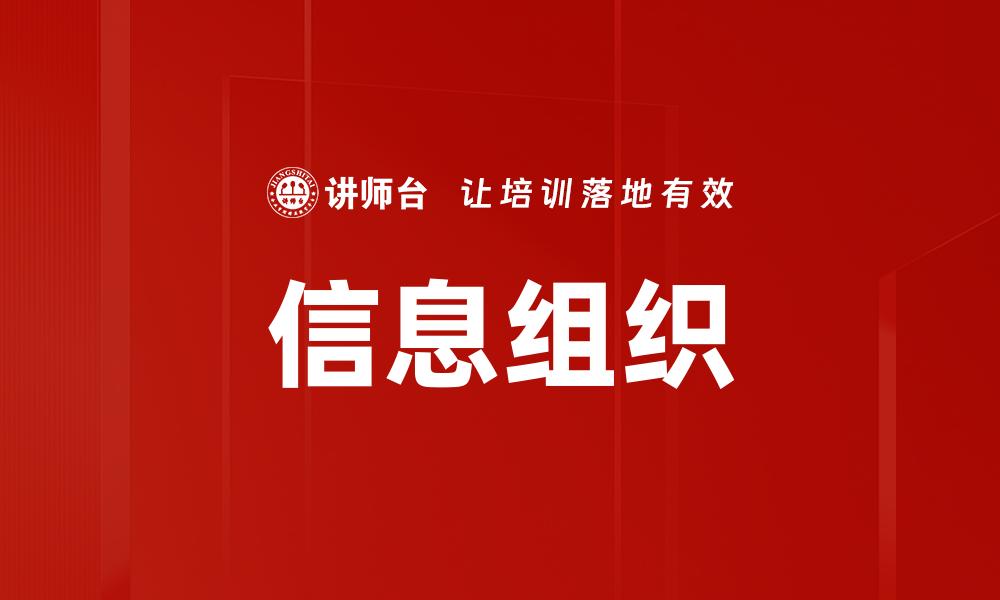 信息组织