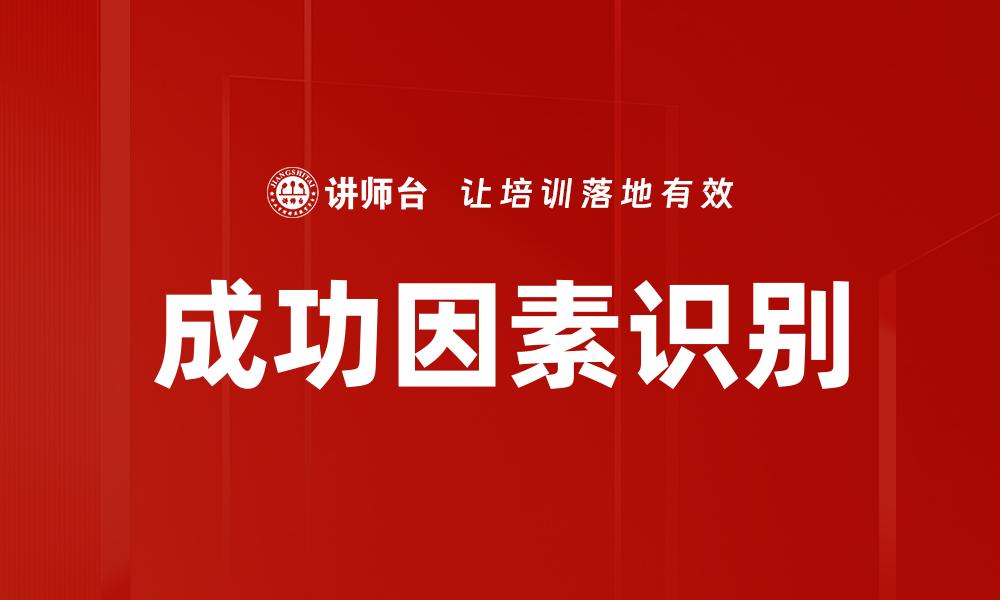 成功因素识别