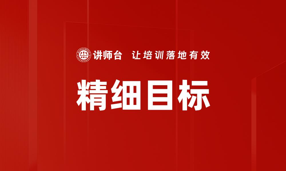精细目标